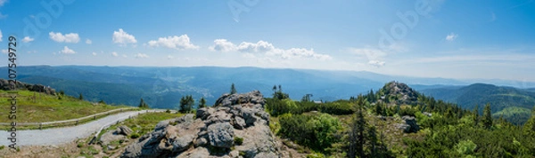 Obraz Las Bawarski - Panorama