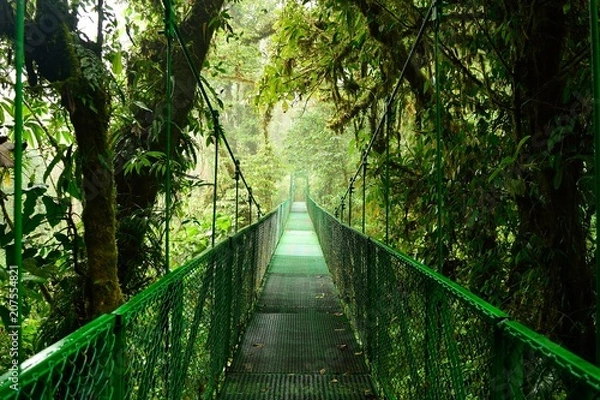 Obraz Hanging bridge