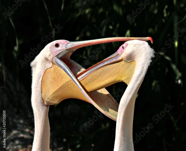 Fototapeta Beim Arzt