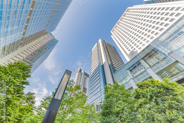 Fototapeta 新緑と高層ビル群