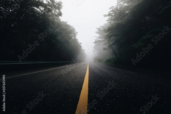 Obraz The Long Long Road