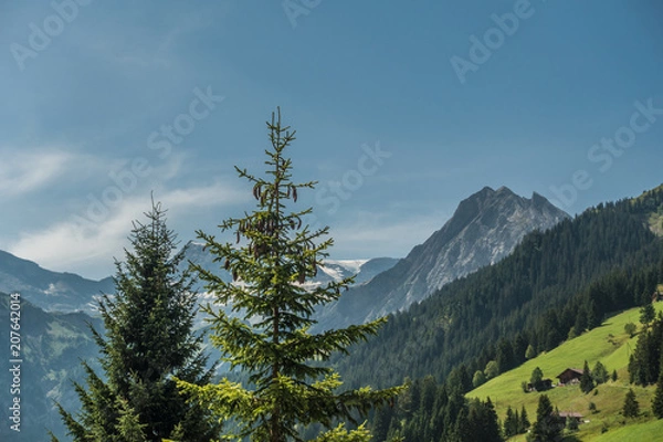 Fototapeta mountain view
