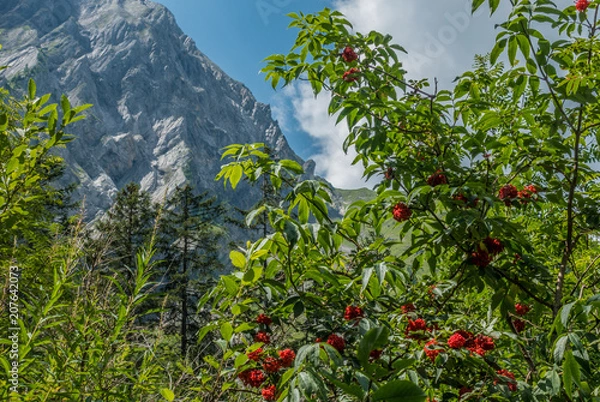 Fototapeta mountain view