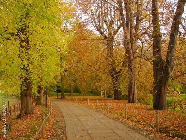 Fototapeta autumn walk