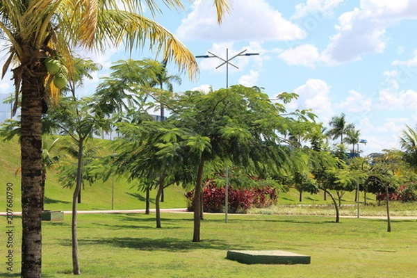 Obraz parque