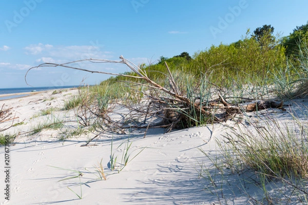 Fototapeta Empty beach at the Baltic sea with greenery and a tiny boat in the background.