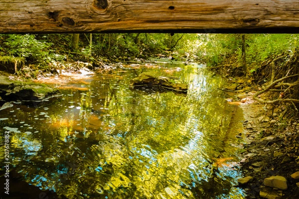 Fototapeta Creek running underneath a bridge in Blue Spruce Park