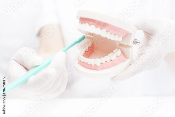 Obraz 歯みがき指導