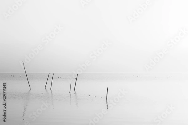 Fototapeta A very minimalistic view of a lake at dawn, with soft light and 