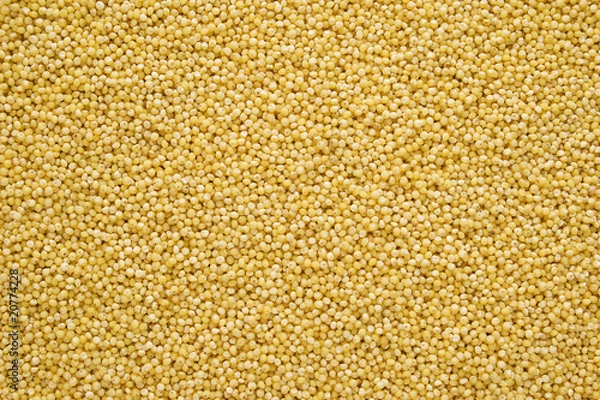 Obraz Dried Millet