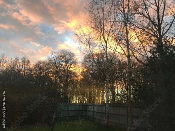 Obraz Sunset in backyard 