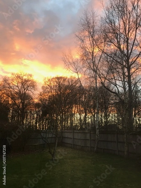 Obraz Sunset in trees