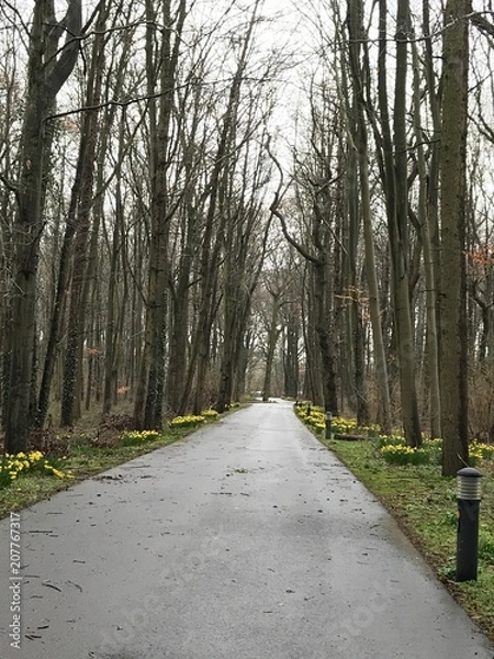 Obraz Road to nowhere 2 