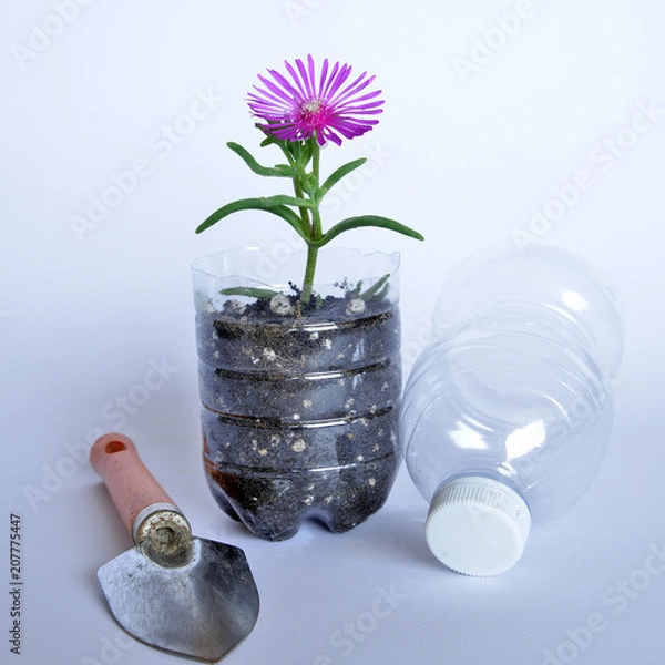 Obraz un fiore cresciuto dentro un vaso  ricavato da una bottiglia di plastica