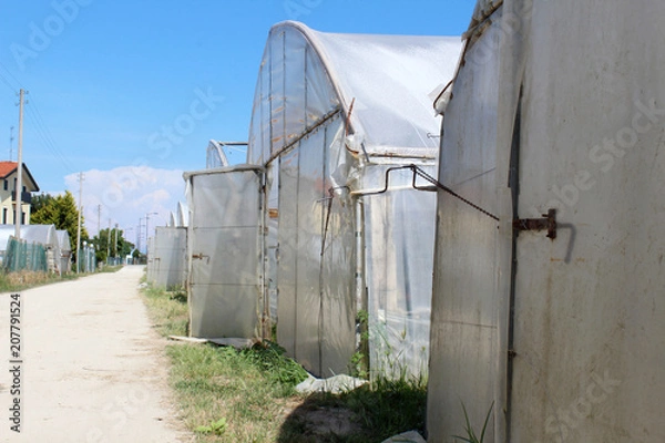 Obraz Gewächshäuser