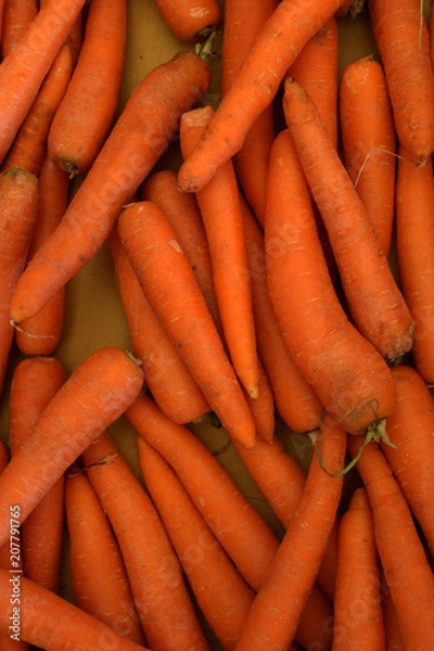 Obraz Karotten