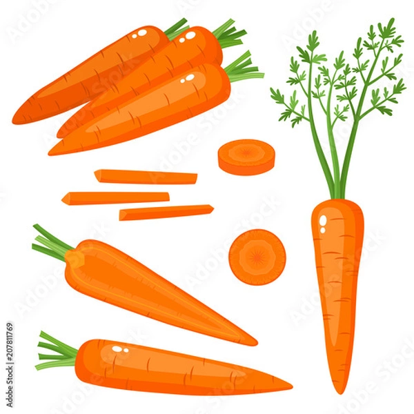 Obraz Bright vector set of fresh carrots isolated on white.