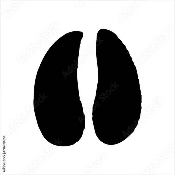 Obraz Peccary footprints icon. Vector Illustration