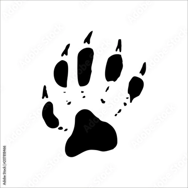 Obraz Racoon footprints icon. Vector Illustration