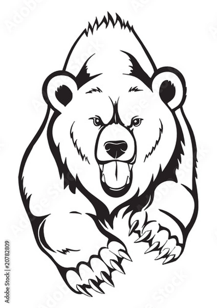 Obraz Brown Bear Grizzly. Wektor