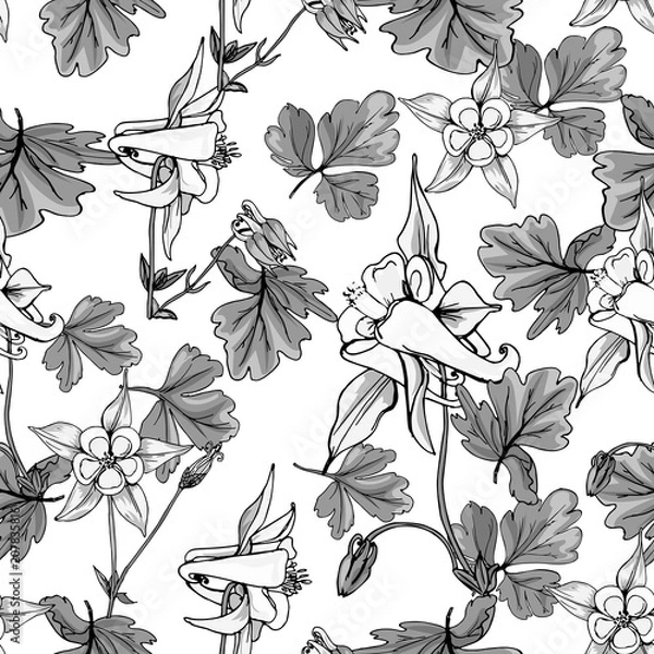 Obraz Seamless pattern with wildflowers on white background. Beautiful vector field blossom. White and black flowers monotone style.