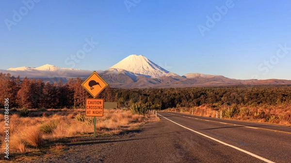 Fototapeta Znak drogowy kiwi i wulkan Mt. Ngauruhoe o zachodzie słońca, Park Narodowy Tongariro, Nowa Zelandia