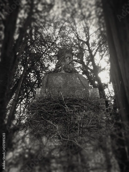 Obraz King in the Forest 