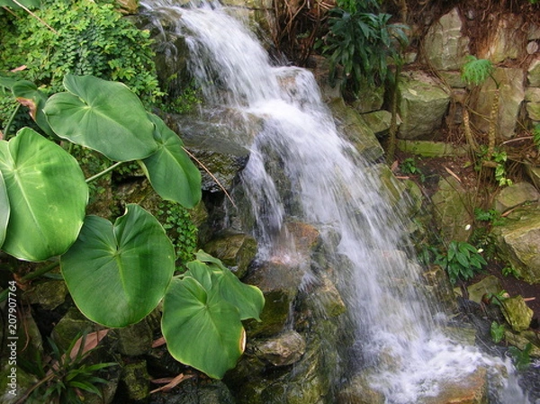 Obraz Waterfall