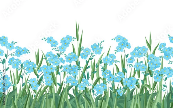 Fototapeta Blue forget-me-nots and grass. Seamless horizontal pattern on white isolated background.