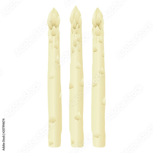 Obraz ホワイトアスパラガス