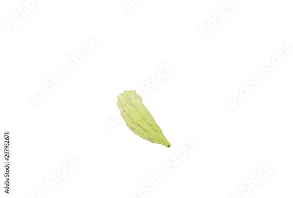 Obraz Okra single whole