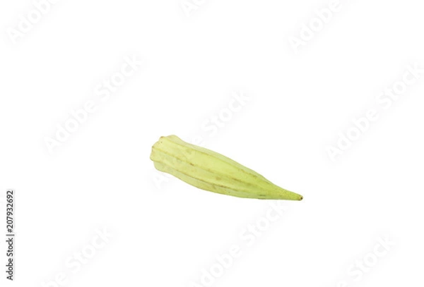 Obraz Okra single whole