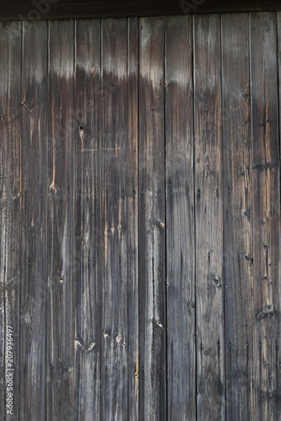 Obraz old tree texture