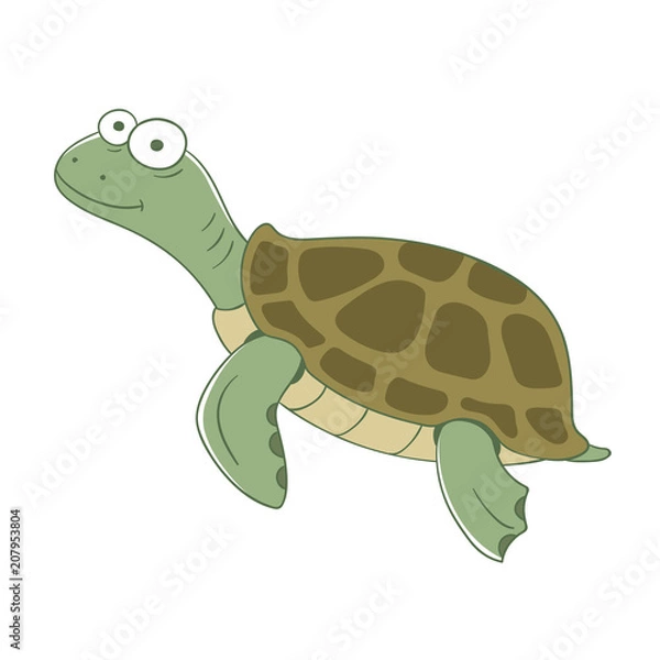 Fototapeta Colorful turtle on white background. Vector illustration.