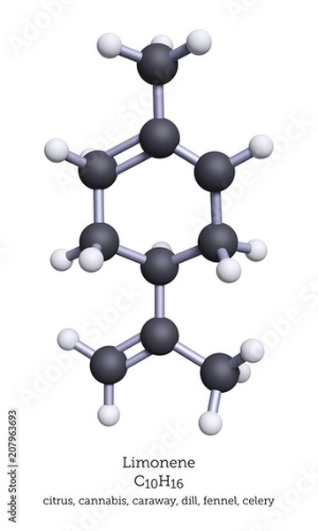 Fototapeta Ball-and-Stick Model of Limonene - 3D Rendering