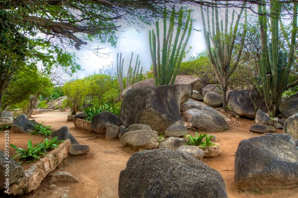 Fototapeta Ecological Diversity