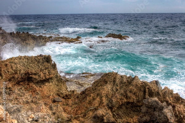 Fototapeta Ecological Diversity