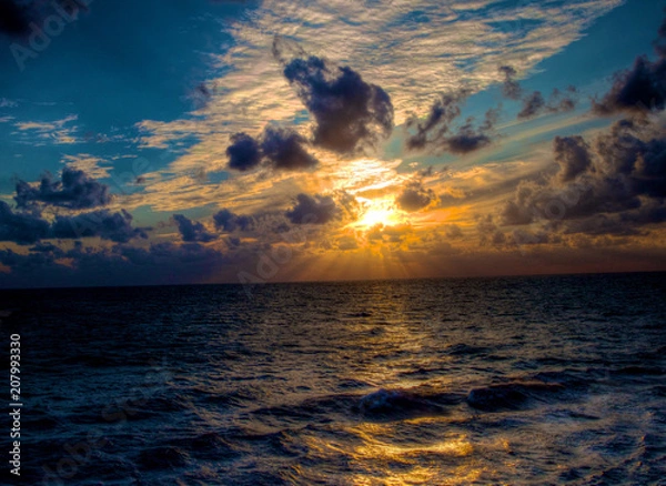 Fototapeta Ecological Diversity