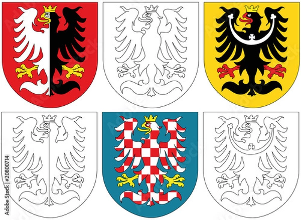 Obraz Czech lion and similar blazons
