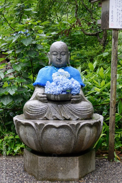 Obraz 明月院の紫陽花