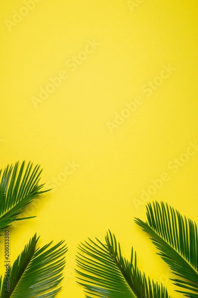Fototapeta Flat lay palm leaves on yellow background