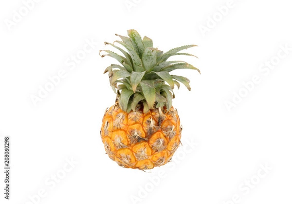 Obraz Pineapple whole small