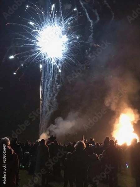 Obraz Bonfire and Fireworks 
