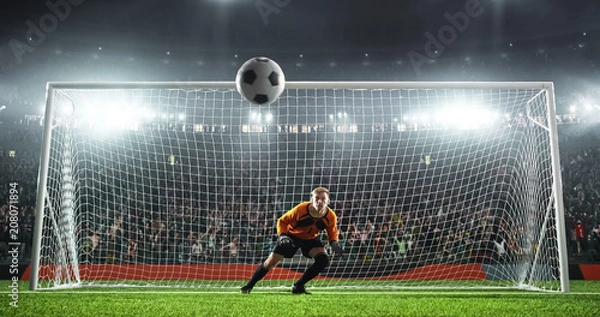 Obraz Soccer goalkeeper in action on the stadium