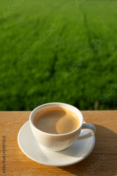 Fototapeta coffee in white cup on wood background over green field  whit text space