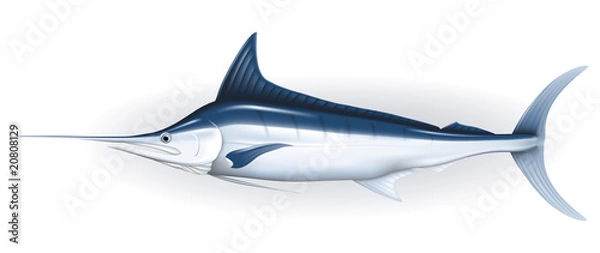 Fototapeta Marlin