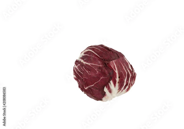 Obraz Radicchio whole