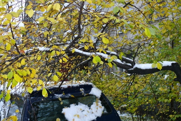 Obraz Первый снег 