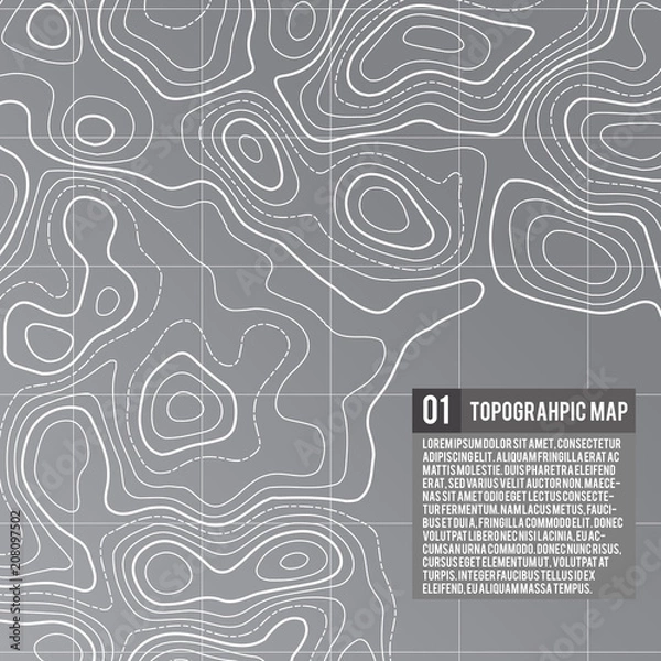 Obraz Vector topographic map background. Business concept. Abstract vector illustration