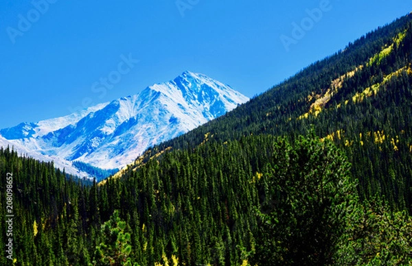 Obraz Torreys Peak with New Snow Near Denver Colorado